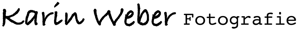 Logo neu enzeilig